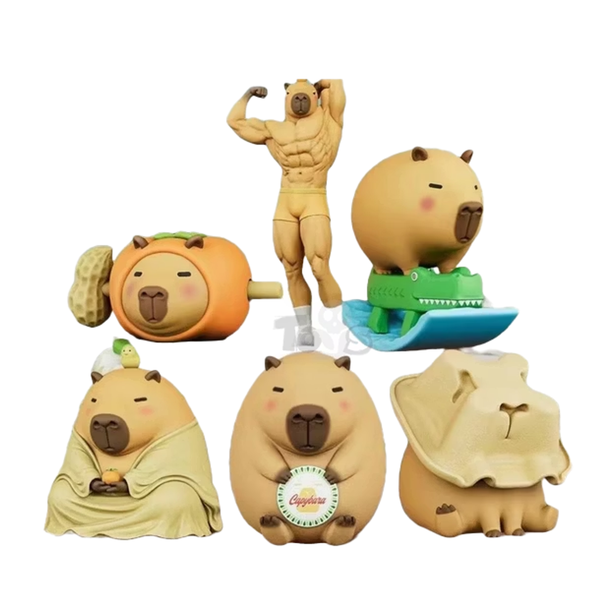 Capybara Little Pig Blind Box Series
