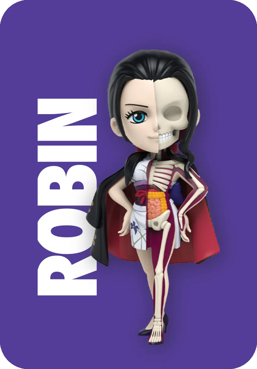 One Piece Hidden Dissectables Blind Box Series 5- Ladies Edition by Jason Freeny x Mighty Jaxx.