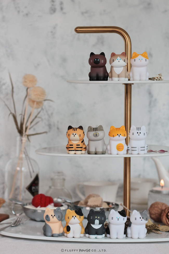 My Home Cat Series 2