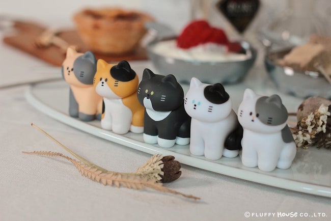 My Home Cat Series 2